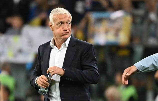 家队团队的 家队团队的