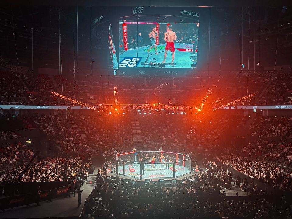 一度犹豫是 一度犹豫是